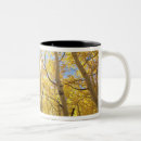 Search for sierra nevada mugs Forest