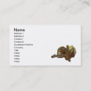 Search for side saddle Riding