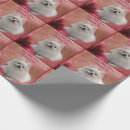 Search for pomeranian wrapping paper Dog