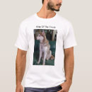 Search for huskies photography Husky