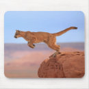 Search for barren mousepads Usa
