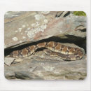 Search for rattlesnake electronics Animal
