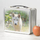 Search for wolf face photography Canine
