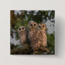 Search for barred badges Owl