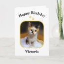 Search for kitten birthday cards Pet