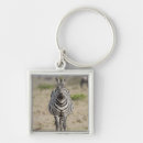 Search for blurred key rings Outdoors