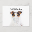 Search for dog lover get well cards Pet