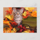 Search for charities postcards Kitten