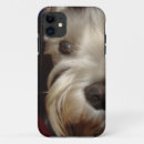 Search for what iphone cases Pet