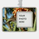 Search for orange and black christmas tree decorations Photography