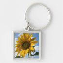 Search for backcountry key rings California