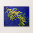 Search for sea horse puzzles Coral
