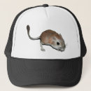 Search for mice hats Rodent
