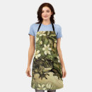 Search for will be toad aprons Amphibians