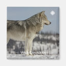 Search for documentary magnets Canada