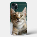 Search for cute baby kitten iphone cases Domestic cat