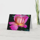 Search for make my day cards Wife