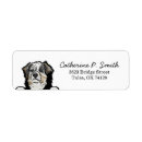 Search for australian shepherd return address labels Aussie