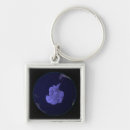 Search for light show key rings Outdoors