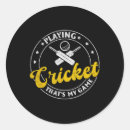 Search for cricket bat crafts party Bowler