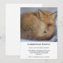 Search for curl invitations Animal