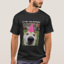Search for dog meme Party
