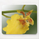 Search for garden weddings electronics Asian