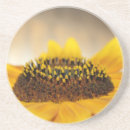 Search for sunflower coasters Autumn