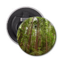 Search for wood bottle openers Forest