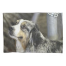Search for furry pillowcases Pet