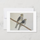 Search for two birds cards Grey