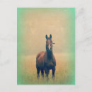 Search for horse postcards Equine