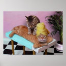 Search for funny jokes posters Cats