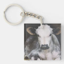 Search for cropping key rings Photography