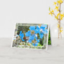 Search for blue poppy cards Flower