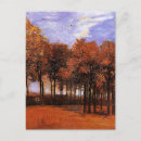 Search for autumn landscapes postcards Trees