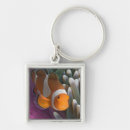 Search for anemone key rings Clownfish