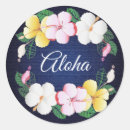 Search for hawaiian hibiscus stickers Summer