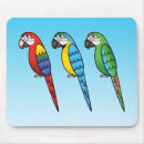 Search for scarlet macaw electronics Macaws