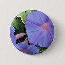 Search for glories badges Morning glory