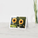 Search for sunflower lover postcards Botanical