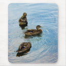 Search for duck mousepads Female
