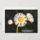 Search for simplicity cards Floral