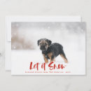 Search for let it snow christmas cards Red