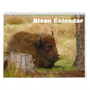 Search for bison calendars Prairie