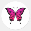 Search for purple butterfly stickers Floral