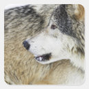 Search for timber stickers Mammal