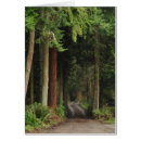 Search for red wood postcards Trees