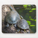 Search for painted turtle mousepads Turtles