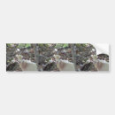Search for goats bumper stickers Animal